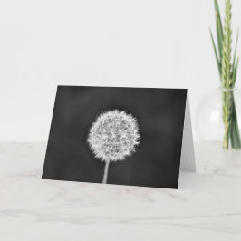 Dandelion - Noir, kaart