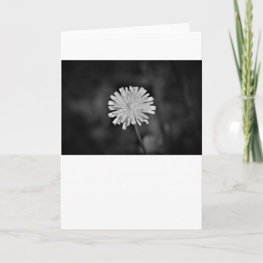 Dandelion/Noir, kaart (Voorkant)