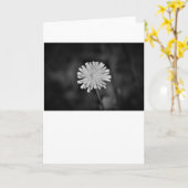 Dandelion/Noir, kaart (Gele Bloem)