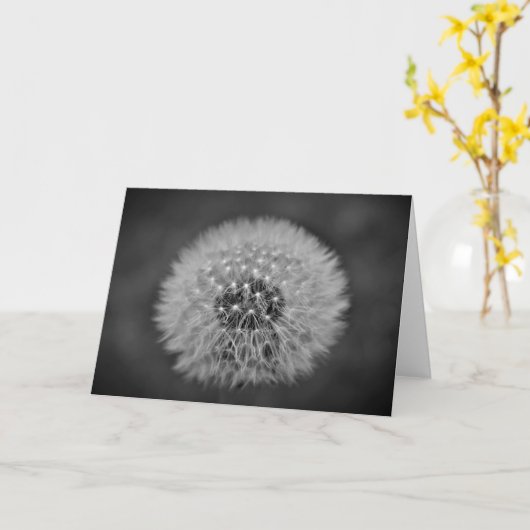 Dandelion - Noir, kaart (Gele Bloem)