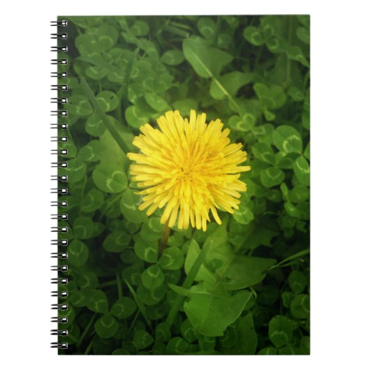 Dandelion Notitieboek (Voorkant)