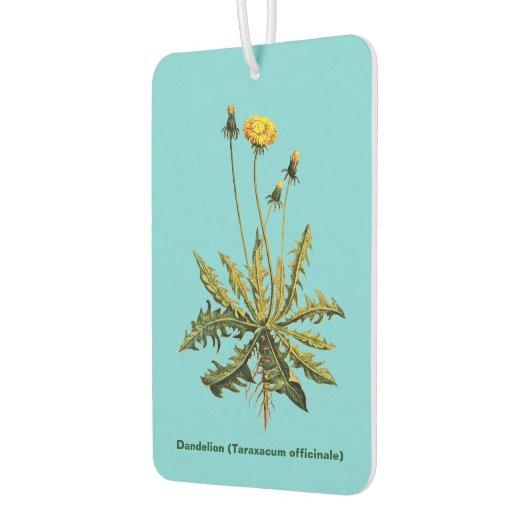Dandelion op blauw luchtverfrisser (Links)