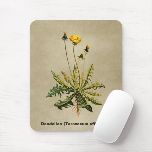 Dandelion op oud papier muismat (Met muis)