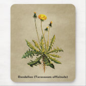 Dandelion op oud papier muismat (Voorkant)