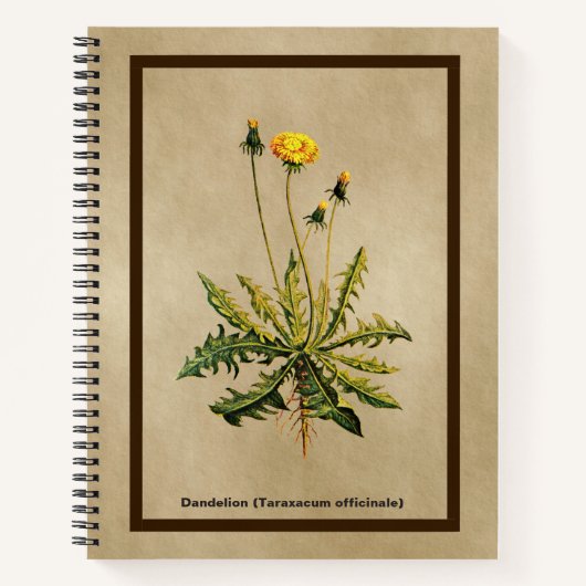 Dandelion op oud papier notitieboek (Voorkant)