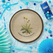 Dandelion op oud papier papieren bordje (Feest)
