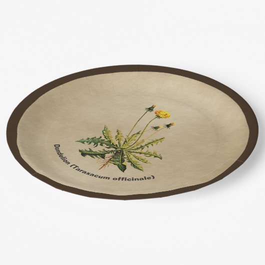 Dandelion op oud papier papieren bordje (Gekanteld)