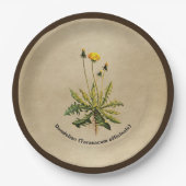 Dandelion op oud papier papieren bordje (Voorkant)