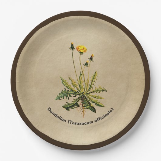 Dandelion op oud papier papieren bordje (Voorkant)
