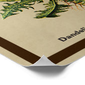 Dandelion op oud papier poster (Hoek)