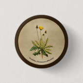 Dandelion op oud papier ronde button 3,2 cm (Voorkant)