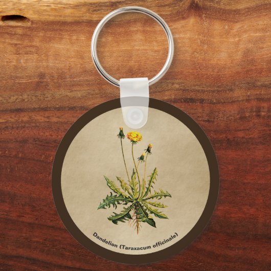 Dandelion op oud papier sleutelhanger (Voorkant)