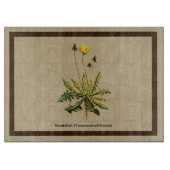 Dandelion op oud papier snijplank (Voorkant)