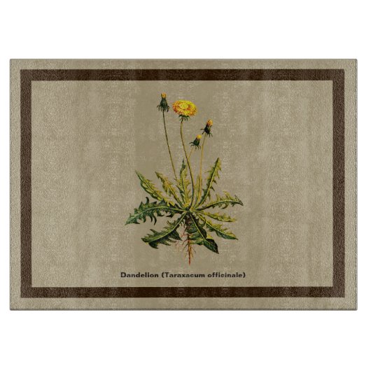 Dandelion op oud papier snijplank (Voorkant)