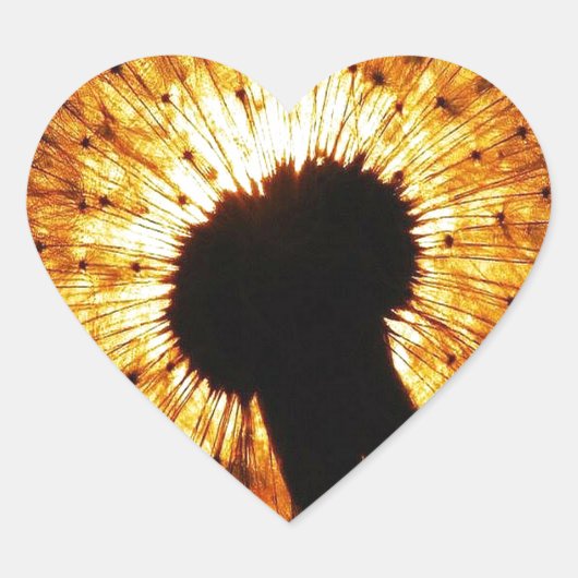 Dandelion op Sunset Hart Sticker (Voorkant)
