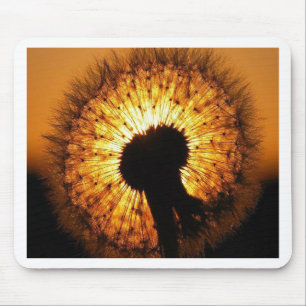 Dandelion op Sunset Muismat