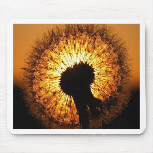 Dandelion op Sunset Muismat (Voorkant)