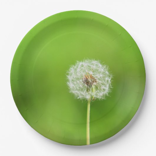 Dandelion Papieren Bordje (Voorkant)