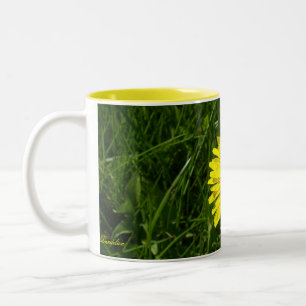 Dandelion, Pissenlit Tweekleurige Koffiemok