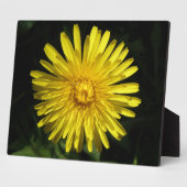 Dandelion Plaque Fotoplaat (Zijkant)