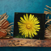 Dandelion Plaque Fotoplaat (Zijkant)