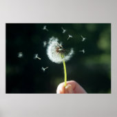 Dandelion Poster (Voorkant)