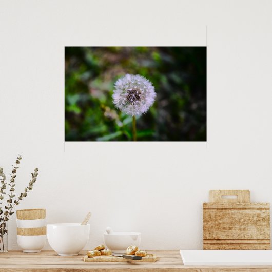Dandelion Poster (Keuken)