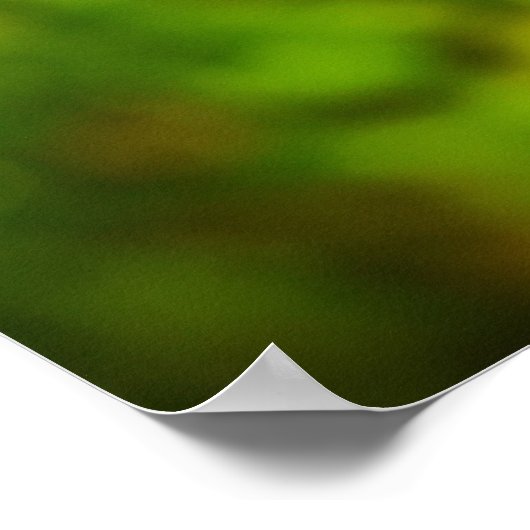 Dandelion Poster (Hoek)