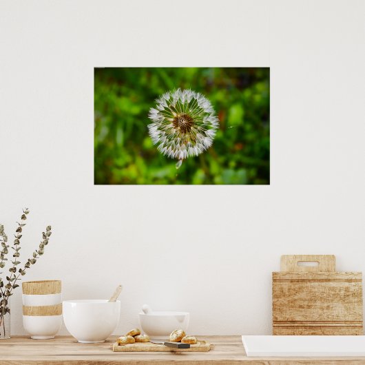 Dandelion Poster (Keuken)