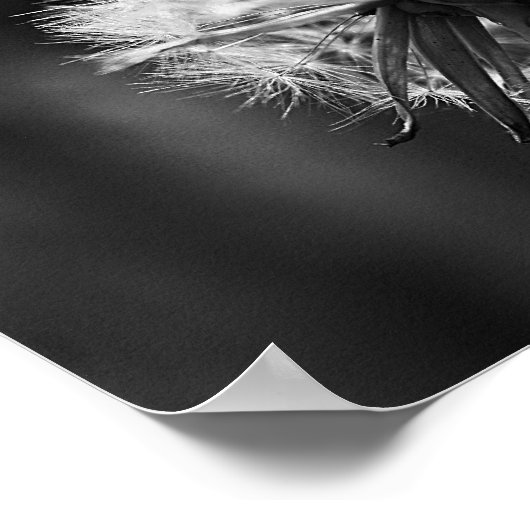 Dandelion Poster (Hoek)