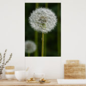 Dandelion Poster (Keuken)