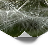 Dandelion Poster (Hoek)