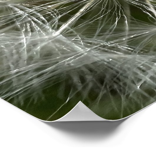 Dandelion Poster (Hoek)