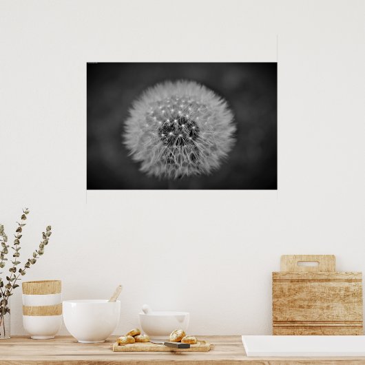 Dandelion Poster (Keuken)