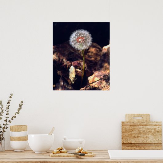 Dandelion Poster (Keuken)