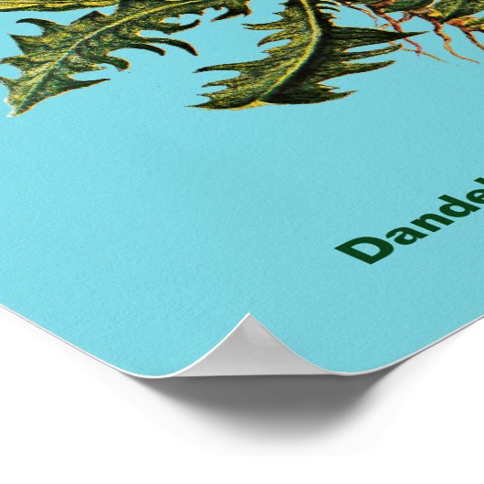 Dandelion Poster (Hoek)