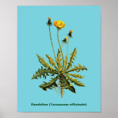 Dandelion Poster (Voorkant)