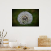 Dandelion Poster (Keuken)