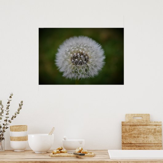 Dandelion Poster (Keuken)