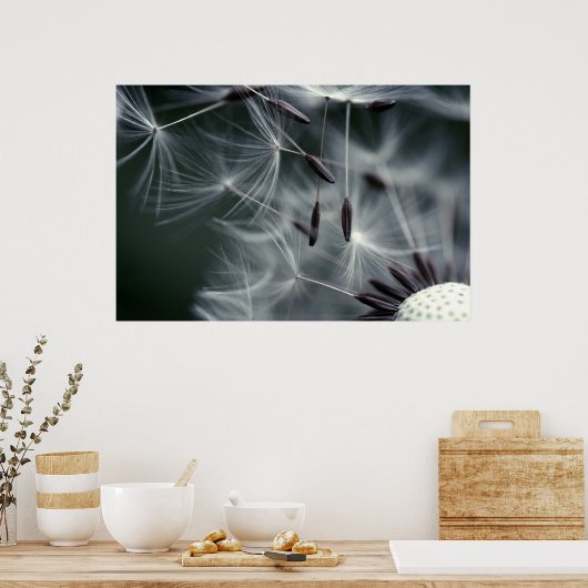 Dandelion Poster (Keuken)