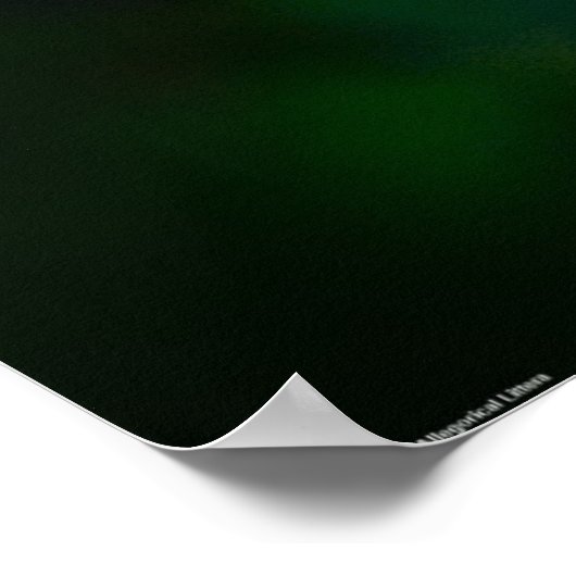 Dandelion Poster (Hoek)