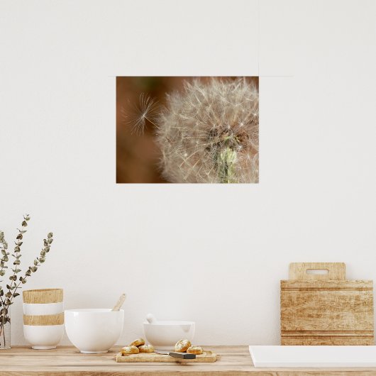 Dandelion Poster (Keuken)