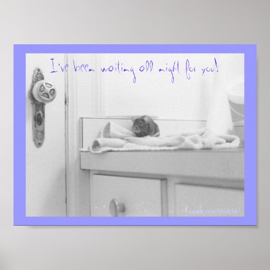 Dandelion Poster (Voorkant)