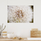 Dandelion Poster (Keuken)