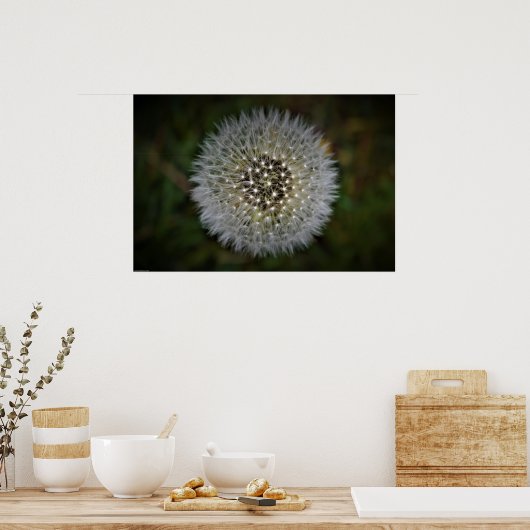 Dandelion Poster (Keuken)