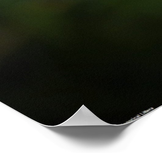 Dandelion Poster (Hoek)