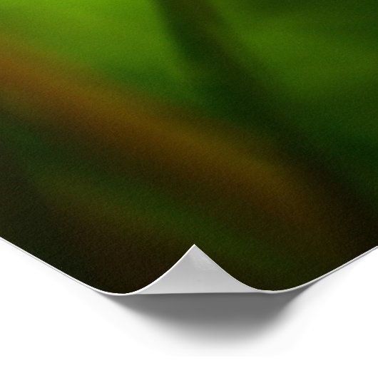 Dandelion Poster (Hoek)