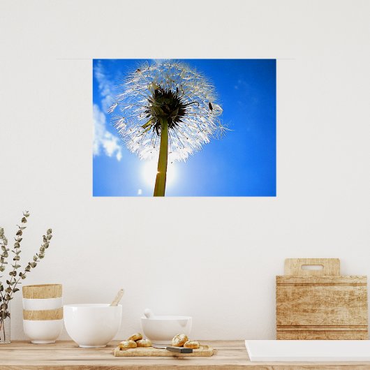 Dandelion Poster (Keuken)