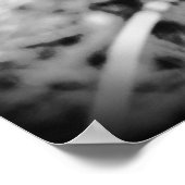 Dandelion Poster (Hoek)