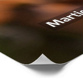 Dandelion Poster (Hoek)